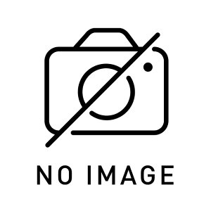 MCMPrgA/CRvbT[Nb`t 10968 i92600-EN22A/GARRvbT[/N[[RvbT[