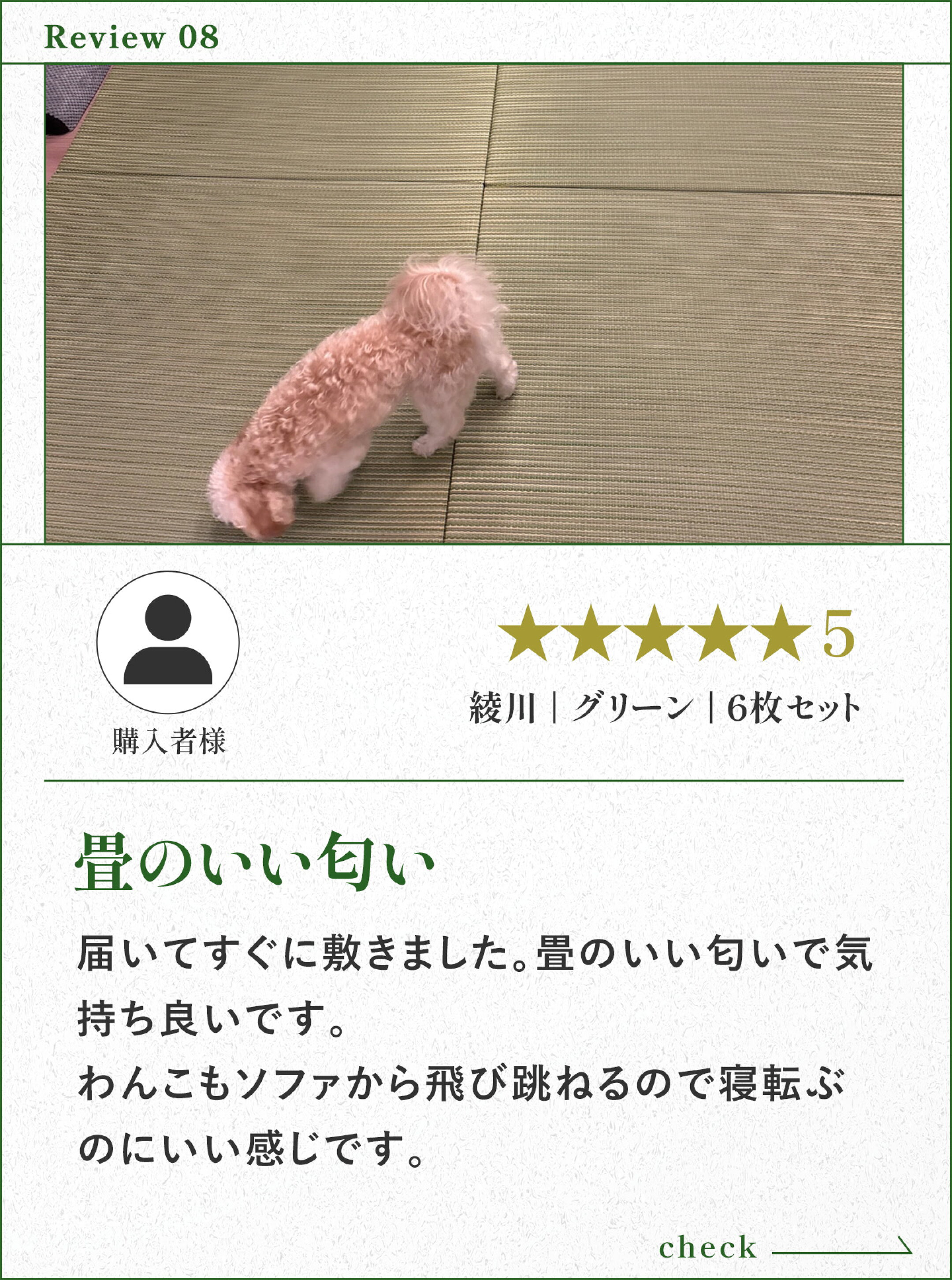 レビューのご紹介