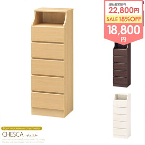 y12/1̓|Cg10{z _ڋʉi^ `FXg 5i 45cm `FXJ csc-1344h [Ƌ rO[ `FXg rO`FXg [`FXg  N[[bg o  ߗ [ 