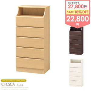 _ڋʉi^ `FXg 5i 60cm `FXJ csc-1360h [Ƌ rO[ `FXg rO`FXg [`FXg  N[[bg o  ߗ [ X  ؐ k