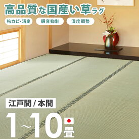 ＼特典つき★売れてます!／ 畳の上に敷くもの 畳の上に敷くカーペット い草 畳上敷き 国産 1畳/2畳/3畳/4.5畳/6畳/8畳/10畳 い草カーペット い草ラグ 日本製 夏用 上敷き い草マット マット ラグマット ペット 畳 敷物 江戸間/本間 Netc5