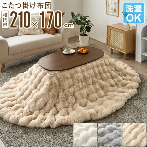 y11/1̓|Cg10{z _؃r[T^ zc  ȉ~` |zc 210x170cm ۂۂ H~  􂦂 ӂƂ R^czc |ӂƂ | rbgt