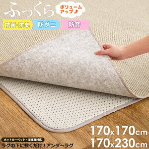 y11/1̓|Cg10{z [ A_[O h h_j R hL 170×170cm/170×230cm ]~ O J[ybg Jo[ 2 3  170cm  ӂӂ ~ I[V[Y qǂ Ԃ v