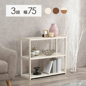I[vbN 3i 75cm ؐ k  EbhbN VFt bN I  fBXvCbN ؐbN X rO[ [I I [ {I Ԏd؂ 65cm s30cm 