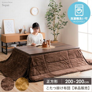 y撅10%OFFN[|zzz |zc ` 200×200cm zc ȃXy[X RpNg tl 􂦂 EHbVu R hL R^czc xzc |zc g H~ 