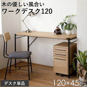 fXN p\RfXN VvfXN [NfXN ItBXfXN 120cm s45cm  VR ACA ݑ[N ׋ ֊  pcfXN X k I[N i` 