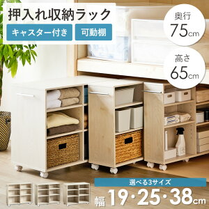 _V^ LX^[t [bN s75.2cm 65cm 3TCY (19/25/38cm) [ bN LX^[ N[[bg[ rO[ Ԏ[ e X ȃXy[X V