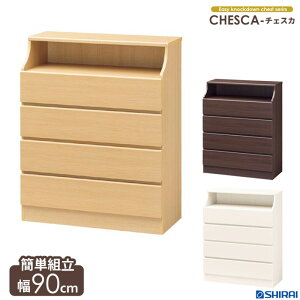 y12/1̓|Cg10{z `FXg 4i 90cm `FXJ csc-1190h [Ƌ rO[ `FXg rO`FXg [`FXg  N[[bg o  ߗ [ X  