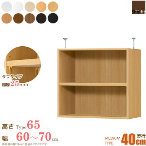 { G[XI[_[Ch ˂I Type65 (I ^t^Cv^s40cm ~fBAfB[v^Cv^60`70cmI[_[) u ς I[_[ {I I[vt[[ ؐ m netc5