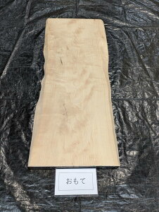 JGf@ꖇ@V@JE^[@t@@1120@445`480x@38T_[dグ@h@cS