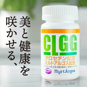 N`iVTv CLGG 90(30) Ȃ Tvg NZ`