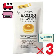 風と光 有機ベーキングパウダー【 40g（10g×4個）×3セット】