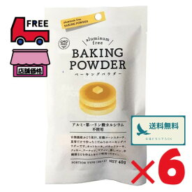 風と光 有機ベーキングパウダー【 40g（10g×4個）×6セット】