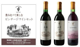 飲み比べセット 【山幸】【清舞】【セイオロサム】 白 赤 3本入り 十勝ワイン 有名 国産 国産ワイン 果実酒 アルコール 飲みやすい おすすめ 高級 人気 北海道 十勝 通販 熟成 池田ワイン 赤ワイン 白ワイン 贈答 プレゼント 数量限定 夏ギフト お中元 飲み比べ