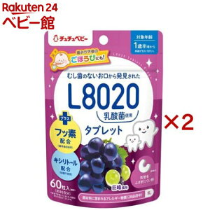 ``xr[ L8020_ۓ^ubg (60×2Zbg)y``xr[z