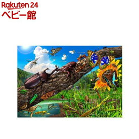 パズル 日本の昆虫おぼえちゃおう！(1個)