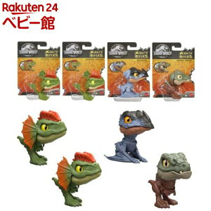 WVbN[h ݂݋RNVD-Ast BOX̔ 986D-JDC39(1Zbg(4))yWVbNE[h(JURASSIC WORLD) z[WVbN    4 tBMA]