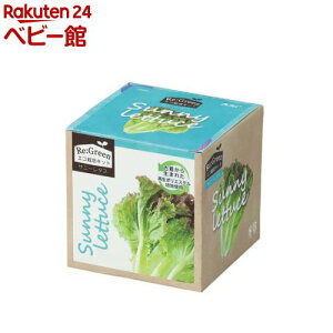 GR͔|Lbg ReFGreen Tj[^X(1)