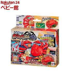 一杯買い！！本ズワイガニ解体パズル 内子付き(1個)