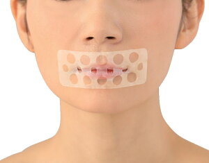 Crs^@LfbNXe[v@24@т@CrL@@ċz@@@̂