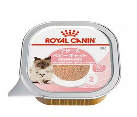 ロイヤルカナン FHN-WET マザー＆ベビーキャット 猫用 100g×12個