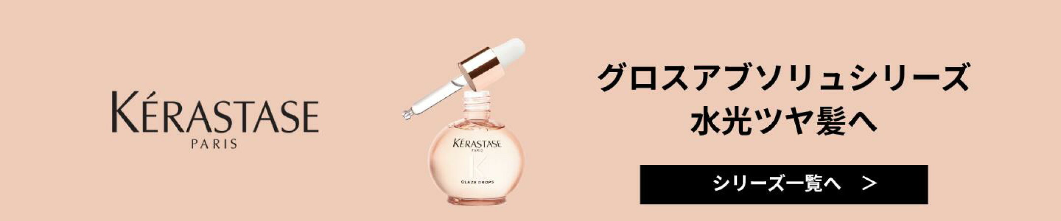 グロスアブソリュシリーズ一覧へ