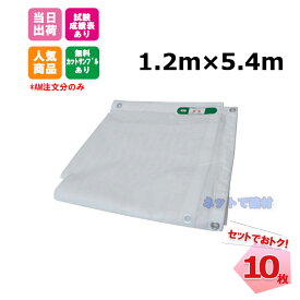防炎メッシュシート 白 1.2m×5.4m（450P）10枚 KMネクスト 141280840