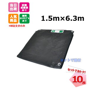 (3%OFF) hbVV[g  1.5m×6.3m (450P) 10 KMlNXg 141280490