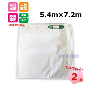 �y�T�}�[�Z�[���z���h���V�[�g 5.4m×7.2m�i450P�j2 �� KM�l�N�X�g 141261100