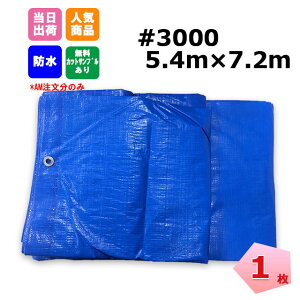 �u���[�V�[�g ���� #3000 5.4m×7.2m 1�� KM�l�N�X�g 181210380