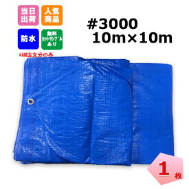 ブルーシート 10m×10m ＃3000 厚手 1枚 工事 イベント 養生 レジャーシート 運動会 お花見 花火 補修 目隠し 雨よけ 風よけ 保護 台風 ネットで建材