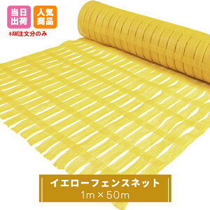 CG[tFXlbg@1m×50m Hp݃lbgtFX Nh~  z  H  hd؂ h ho ͂ oP[h bV F 211470040