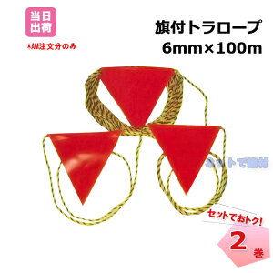 tg[v 6mm×100m 2Zbg Opt J[tbO W S\ Hp  Op\ 댯  x J[R[ Ǘ