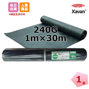 �U�o�[�� 1�{ �� XA-240G1.0 ��1m×����30m ���̓^�C�v �h���V�[�g �f���|�� �O���[���t�B�[���h ���� �΍� �|�� �� �� �l�{1000�~