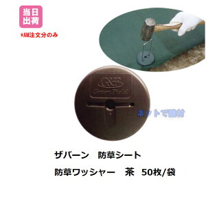 bV[  50  WS-GR Uo[ uE vebNX hV[g  ΍ V[gŒ f| O[tB[h   K[f l{1000~