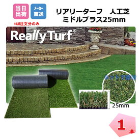 【72時間限定3％OFF】リアリーターフ 1本 ミドルプラス 25mm 幅1m×10m RET25FR-1-10ERP 抗菌 グリーンフィールド 高級 人工芝 芝生 個人＋4000円