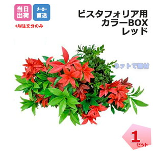 J[BOX bh 1 VG-VFFFSET CVbNt rX^tHA ǖʗΉpl lHA tFCNO[ lz{1000~