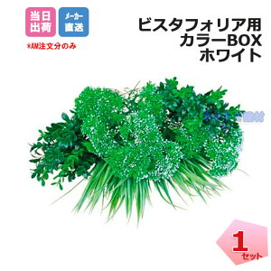 J[BOX zCg 1 VG-WHSET CVbNt rX^tHA ǖʗΉpl lHA tFCNO[ lz{1000~