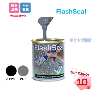 tbVV[ 750ml 10 Zbg ^CZC O[ ubN hCh TC flashseal