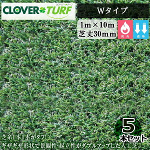 N[o[^[t W^Cv CTW30 5{ Zbg PAEO[o ŏ30mm 1m×10m lH zs