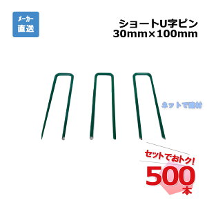 V[gUs TPR10F 500{Zbg PAEO[o 30mm×100mm N[o[^[t lH zs