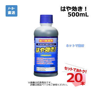 ͂I 500mL 20{ Zbg VZC _knp