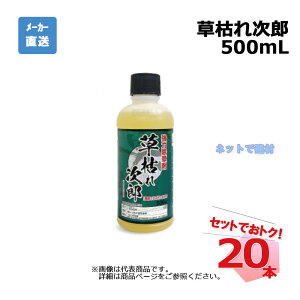 ͂ꎟY 500mL 20{ Zbg VZC _knp