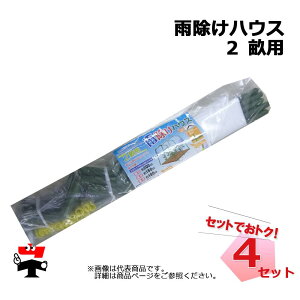 JnEX 2 p 4Zbg VZC J悯nEX lzs