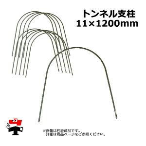 glx 11 x 1200mm 10P×5Zbg v50{ VZC |x ؉A[`