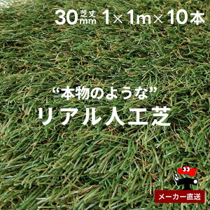 AlH hV[gsv ^Cv ŏ30mm 1m×1m 10{Zbg VZC