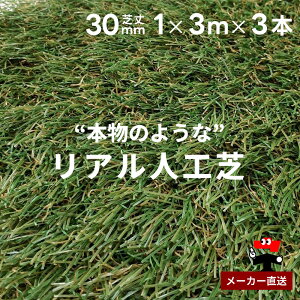 AlH hV[gsv ^Cv ŏ30mm 1m×3m 3{Zbg VZC