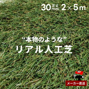 AlH hV[gsv ^Cv ŏ30mm 2m×5m 1{ VZC