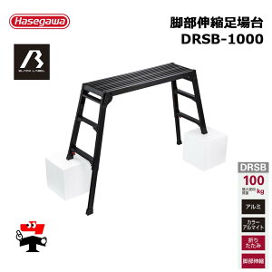 �r���L�k����� DRSB-1000 1�� ���J��H�� 100060 �l���z���s��