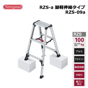 �y�󂠂�/�A�E�g���b�g�Z�[���z�r�� �r�y�y��������z�L�k�^�C�v RZS-09a 1�� ���J��H�� �l���z���s��